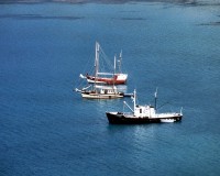 Caranella
