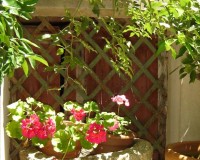Casa Theodora